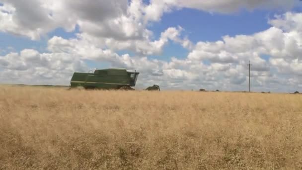 Uman Ukraine 2022 John Deere Harvester Works Field Background Sky — стоковое видео