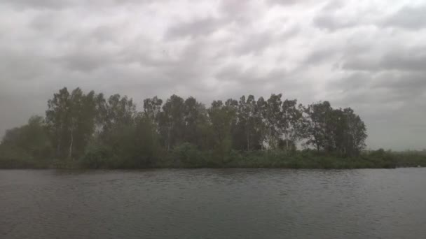 Zandstorm Extreem Sterke Wind Breekt Berken Buurt Van Het Meer — Stockvideo