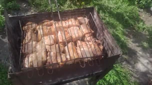 Roasting Juicy Kebab Spices Herbs Burning Charcoals Fire Bbq Grid — Wideo stockowe