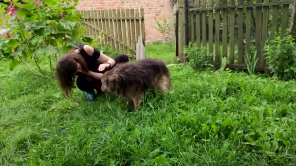 Girl Petting Old Sick Street Dog Garden — 图库视频影像