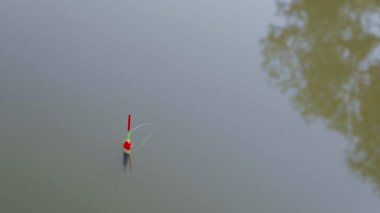 Colorful float for fishing floats and signals is biting on the surface of water of the reservoir. Bobber bite on water waves close up - fishing on the lake. Concept of activities, hobbies in outdoor