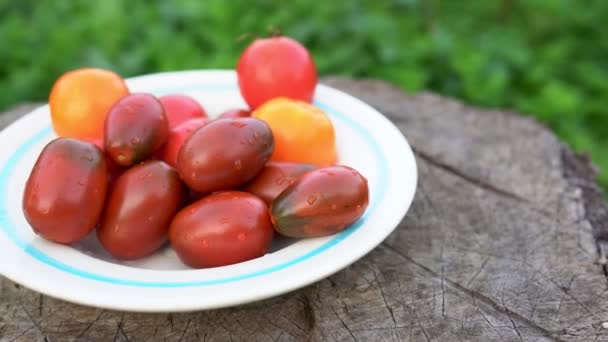 Fresh Cherry Tomatoes Diabetic Diet Main Ingredient Small Whole Red — Video Stock