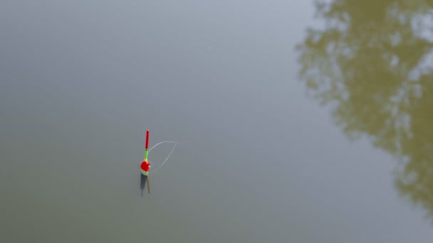 Colorful Float Fishing Floats Signals Biting Surface Water Reservoir Bobber — Αρχείο Βίντεο