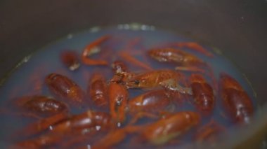 Preparation of boiled crawfish in a saucepan on a gas stove, steam rises from the pan. Cooking freshwater crawfish. Crustacean seafood boil in boiling water, close up. Diet nutrition - healthy food