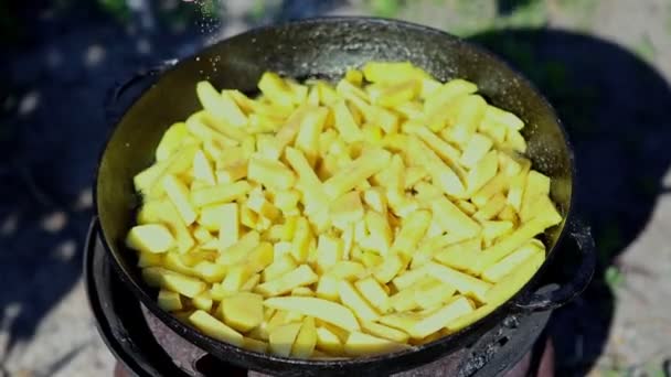 Man Hand Salta Maträtt Matlagning Hemlagad Stekt Potatis Stekpanna Utomhus — Stockvideo