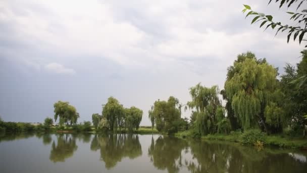 Étang Calme Dans Parc Verdoyant Arbres Verts Poussant Sur Les — Video
