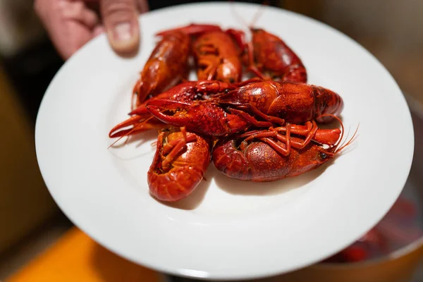 Red Fresh Appetizing Crayfish White Plate Delicious Food Beer — Stock Photo, Image