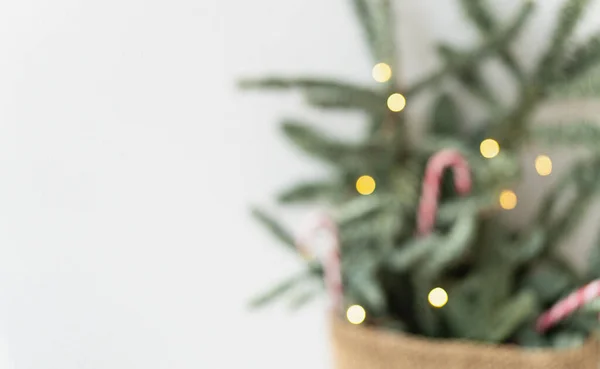 Árbol Navidad Decorado Con Bastones Caramelo Luces Sobre Fondo Borroso —  Fotos de Stock