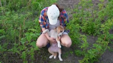 Beyzbol şapkalı, gülümseyen çekici bir kadın ellerini ısıran aktif bir köpek yavrusuyla oynuyor. Kız kucaklama, okşama ve yaz bahçesinde sevimli köpekle oynama. İnsan ve hayvan dostluğu ve aşk