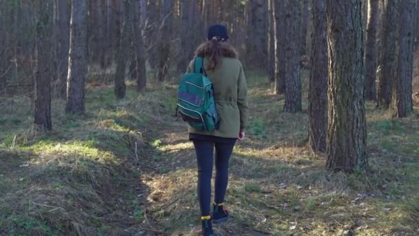 Молодая Женщина Турист Бейсболке Сапогах Куртке Ходить Сосновом Лесу Вид — стоковое видео