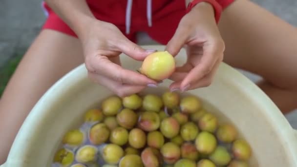 Bäuerin Hände Schälen Reife Frische Aprikosen Über Schüssel Köchin Schält — Stockvideo