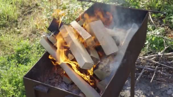 Firewood Burning Grill Outdoor Kindling Firewood Summer Evening Barbecue Wood — Stockvideo