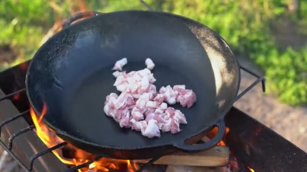 大きな鋳鉄のフライパンでラードで新鮮な肉を揚げオープン火災 庭のキッチン 外のフライパンで炒めると脂ののった有機豚のフライパンのスライス パエリア用のバーベキュー肉の準備 — ストック動画