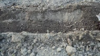 Çiftçi, tarımsal bitkilerin ekilmesi için çapa ile bir oyuk yapıyor. Demir çapa kullanan bahçıvan, domates ve biber tohumları ekmek için bahçede yatak hazırlar.