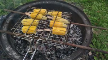 Olgun sarı mısır ızgarada. Bahçedeki kızgın kömürlerin üstünde ızgarada kızartılmış mısır koçanları. Mangal ve ızgara.