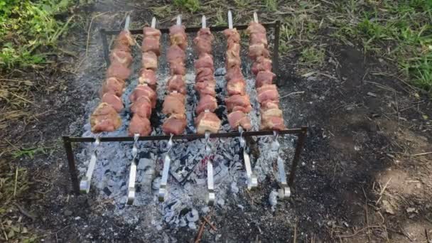 Shashlik Mariné Préparant Sur Barbecue Charbon Bois Shish Kebab Prépare — Video