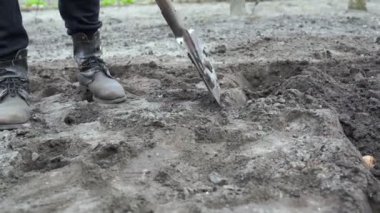 Patates eken çizmeli bir erkek çiftçi. Adam metal bir kürekle toprağı kazıyor. İşçi bahçedeki toprağı kazıyor. Çiftlikteki siyah toprağı gevşetiyor. Tarım arazilerinde kürekle bahar toprağı kazmak.