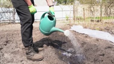 Eldivenli ve botlu bir adam bahçesindeki yeşil plastik sulama kutusundan bir bahçe yatağını suluyor. Çiftçi adam gelecek hasat için yeni ekilmiş tohumları suluyor. Çiftçilik, bahçıvanlık ve tarım