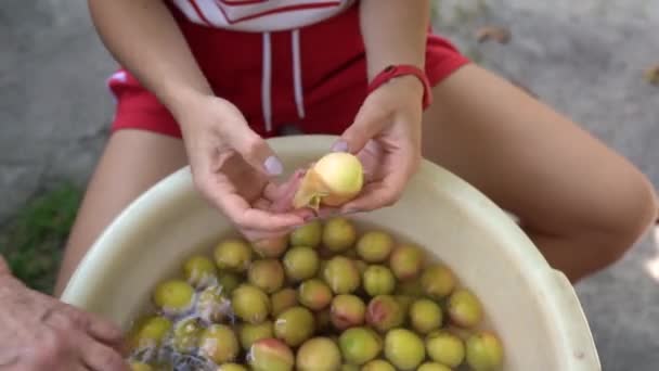 Kız Çiftçi Elleri Taze Kayısıları Kabın Üzerine Soyuyor Kadın Şef — Stok video