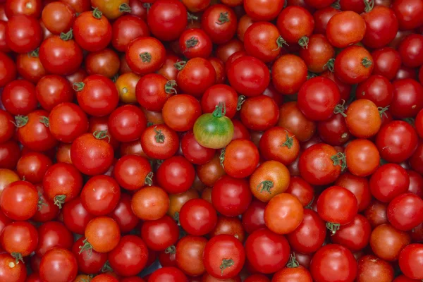 Tomate verde en el fondo de los tomates rojos —  Fotos de Stock