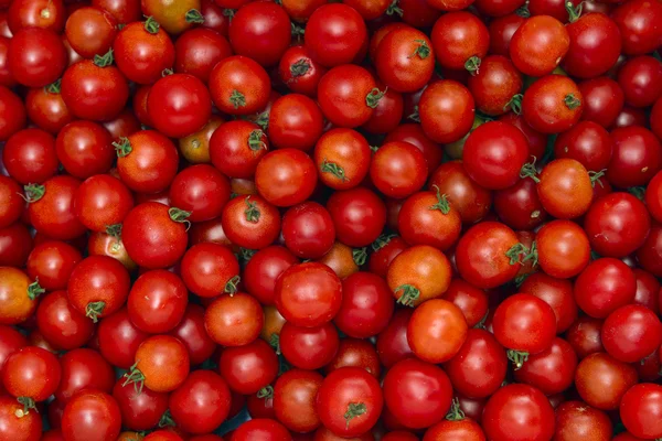 Background of the red tomatoes — Stock Photo, Image