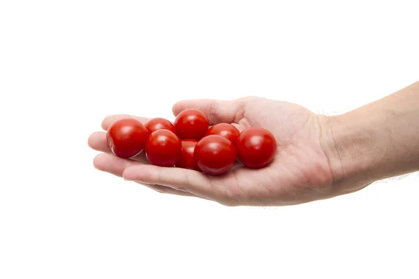 bir erkek eli beyaz zemin üzerine domates