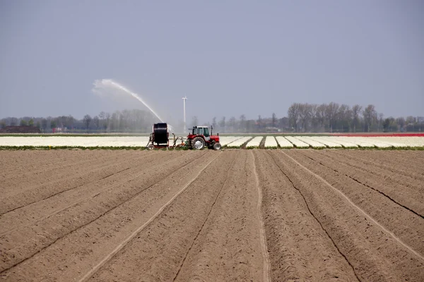 ampul alanları sulama