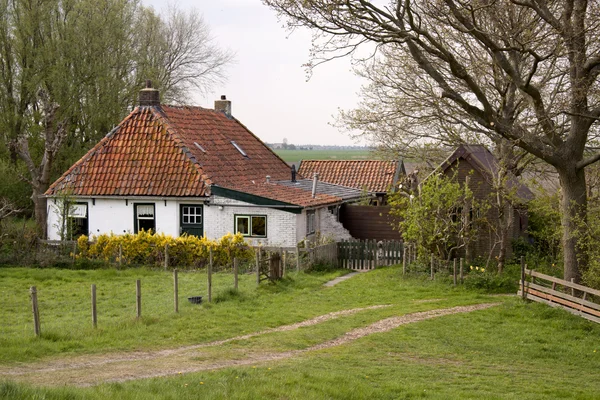 Dom w Fryslân — Zdjęcie stockowe