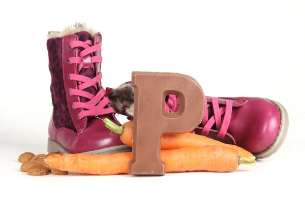 Putting shoes for Sinterklaas eve — Stock Photo, Image