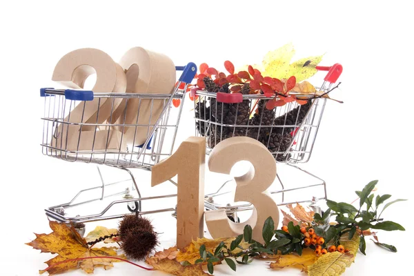 Carrito de compras en otoño — Foto de Stock