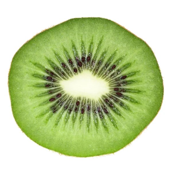 Kiwi-Scheibe — Stockfoto