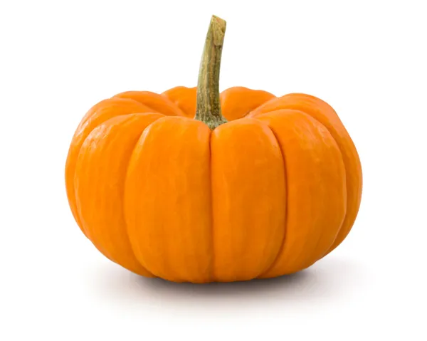 Pumpkin — Stock Photo, Image