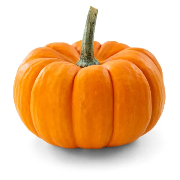 Pumpa — Stockfoto