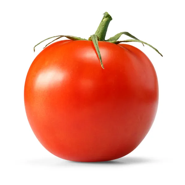 Pomodoro — Foto Stock