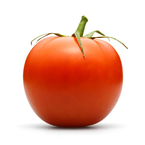 Tomaten — Stockfoto