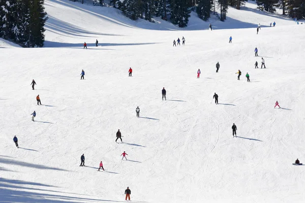 Skifjeld - Stock-foto