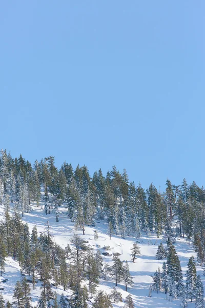 Besneeuwde bergen — Stockfoto