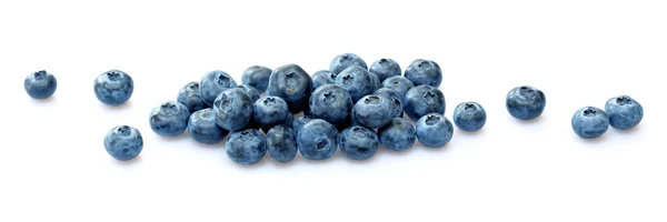 Blaubeeren — Stockfoto