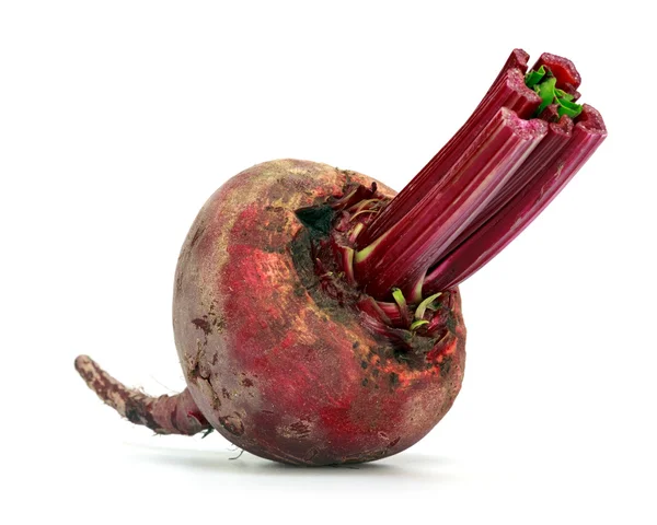 Beetroot — Stock Photo, Image