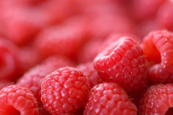 Himbeeren — Stockfoto