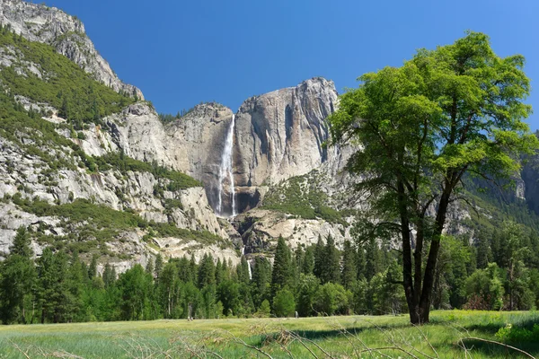 Yosemiten putoukset — kuvapankkivalokuva