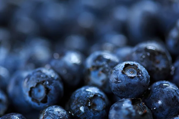 Blueberries — Stock Photo, Image