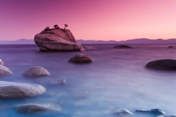 Rocha de bonsai — Fotografia de Stock