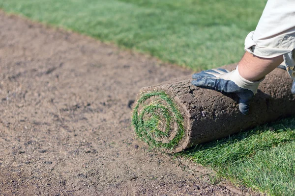 Rolled sod — Stock Photo, Image