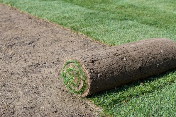 Rolled sod — Stock Photo, Image