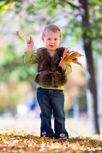 Herbstlaub — Stockfoto