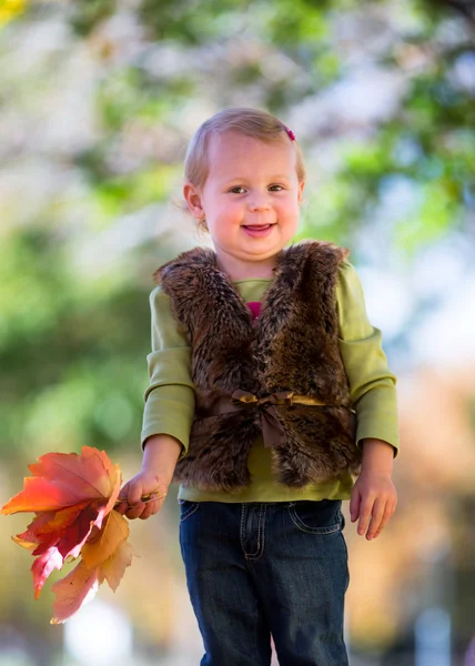 Fall leaves — Stock Photo, Image