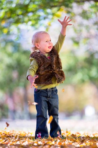 Fun with fall leaves — Stock Photo, Image