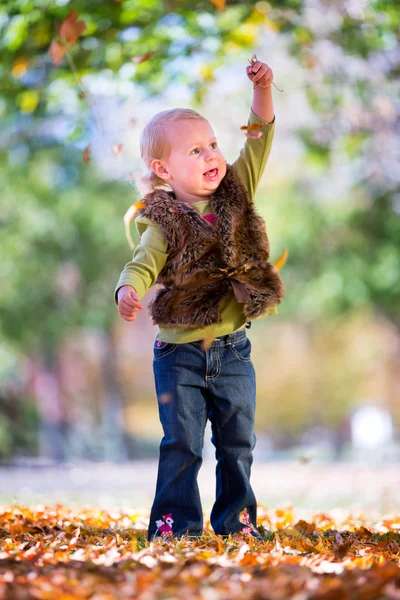 Fun with fall leaves — Stock Photo, Image