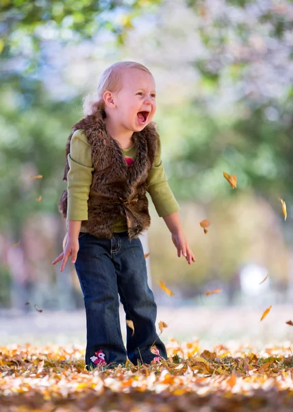 Fun with fall leaves — Stock Photo, Image